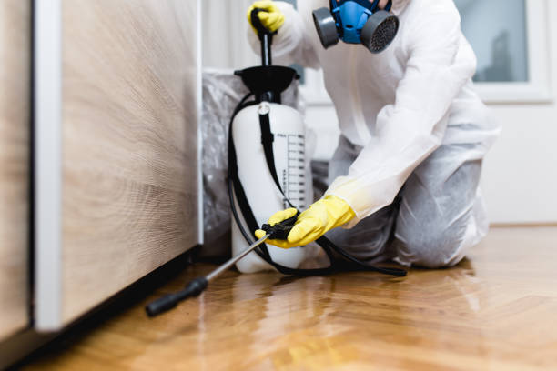 Wildlife Control Services in Savoy, IL