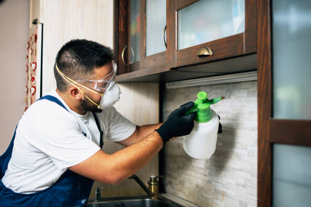 Best Residential Pest Control  in Savoy, IL