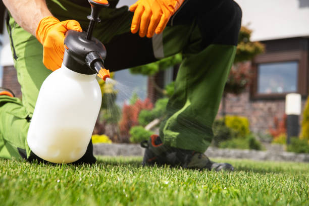Best Local Pest Control Services  in Savoy, IL