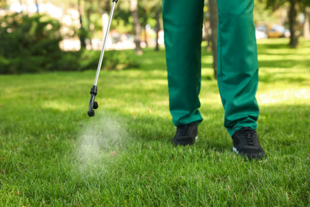 Best Flea Control Services  in Savoy, IL