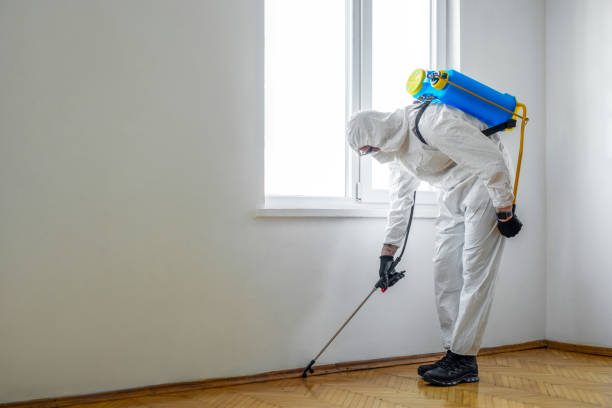 Best Rat Extermination Near Me  in Savoy, IL