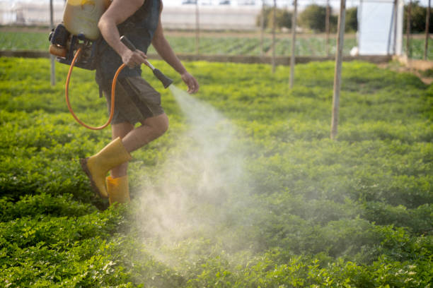 Best Pest Prevention Services  in Savoy, IL