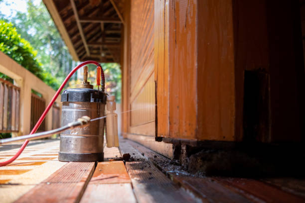 Best Pest Control Treatment  in Savoy, IL
