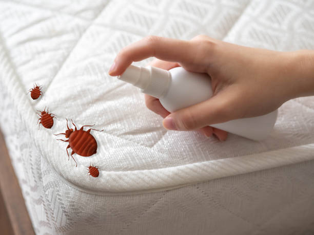Best Pest Removal Services  in Savoy, IL