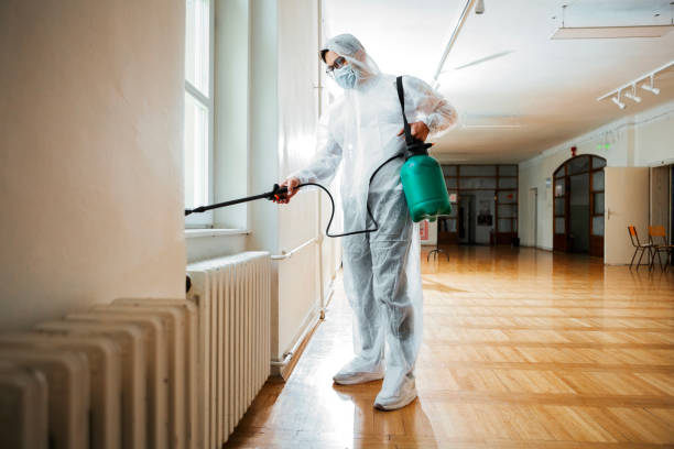 Best Pest Control Near Me  in Savoy, IL