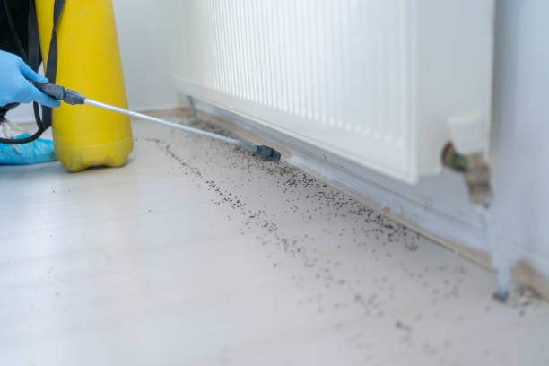 Pest Control Cost in Savoy, IL