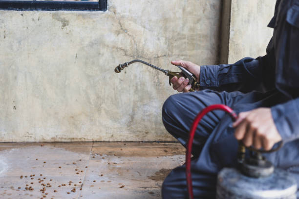 Best Wasp Removal Services  in Savoy, IL