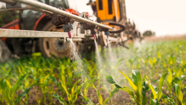 Best Wildlife Control Services  in Savoy, IL